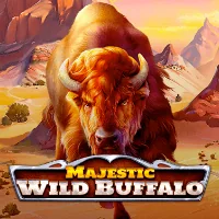 Majestic Wild Buffalo